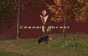 Chasmic Hornet.jpg