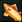 Dorado