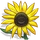 Sunflowers-icon.png