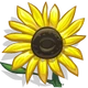 Sunflowers-icon.png