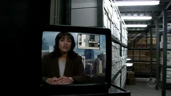 Newscaster