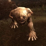 Pseudogiant
