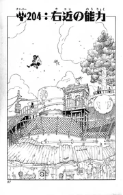 Chapter 204