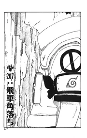Chapter 207
