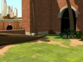 Gorillas-003.JPG
