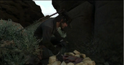 Treasure Hunter