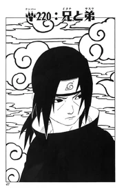 Chapter 220
