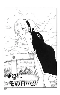 Chapter 224