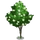 Lilac Tree-icon