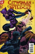 CatwomanWildcat Vol 1 3