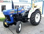 Balwan 600