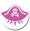 Pirate King's Possessions-icon