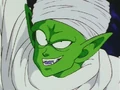 Piccolo28
