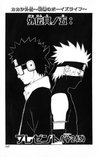 Chapter 243