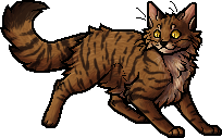 Die WindClan-Chroniken Heavystep.apprentice