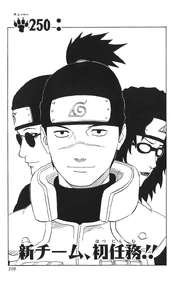 Chapter 250