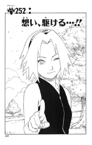 Chapter 252