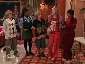 Sleepover-suite.jpg