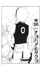 Chapter 265