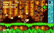 40399662