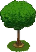 Oak Sapling-icon.png