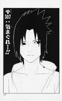 Chapter 307