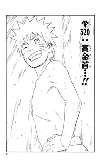 Chapter 320