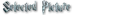 Select.png