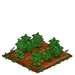 Lemon Balm 66