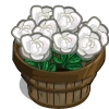 Gardenia bushel-icon