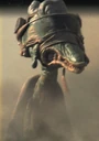 Mars guo.jpg