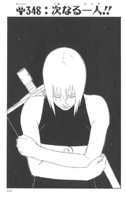 Chapter 348