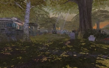 Memorial Garden