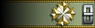 Shoulder insignia.