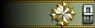 Sleeve insignia.