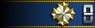 Sleeve insignia.