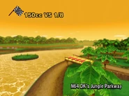MKW D.K.'s Jungle Parkway