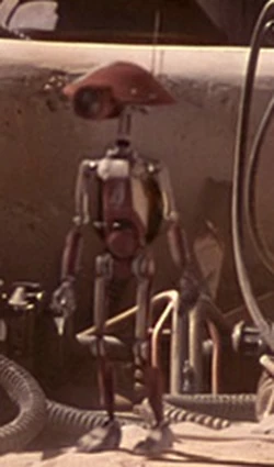 DUM-4.jpg