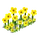 Yellow Flowers-icon.png