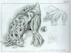 Quiver Land Squid