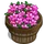 Alpine Rose Bushel-icon