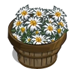 Edelweiss Bushel-icon