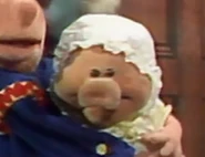 Pig baby