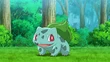 Ash Bulbasaur