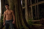 Taylor-as-Jacob-jacob-black-8252886-678-452