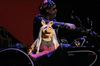 HarleyPiggy3