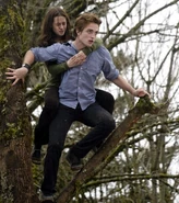 Twilight-backlot-21