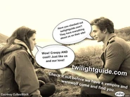 TwilightGuidePicture2