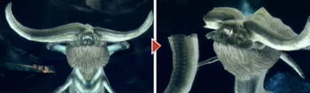 Ceadeus-Horn-R.png