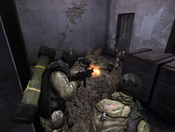 NAVY SEALS
